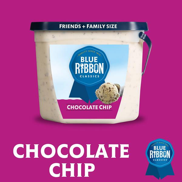 Blue Ribbon Classics Chocolate Chip Reduced Fat Frozen Dessert